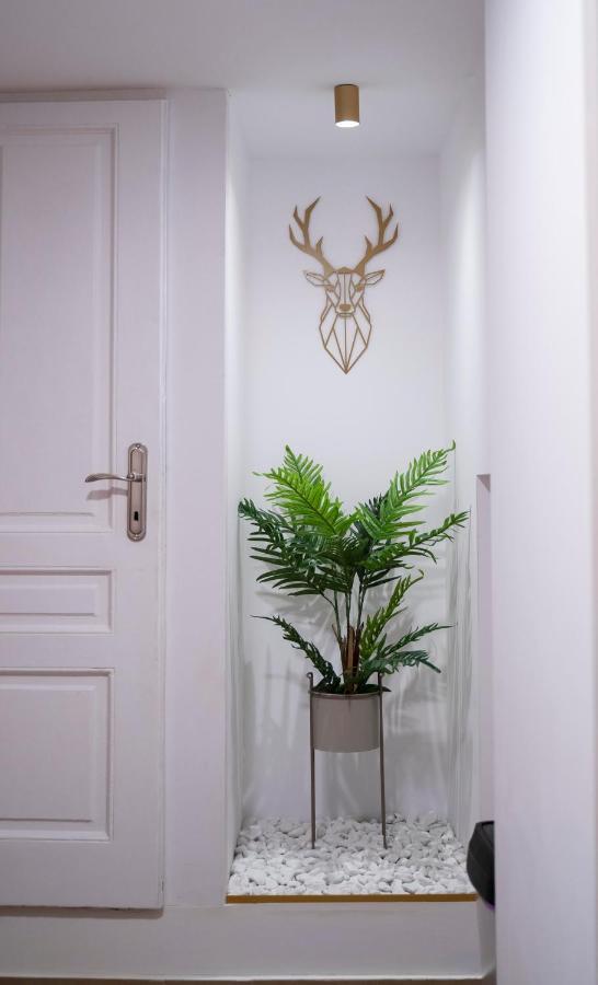Coban Residence - A3 - Scandinavian Apartment Braşov Exterior foto